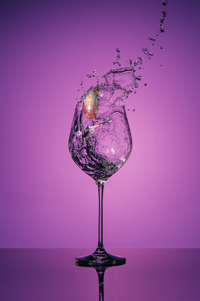 wine glass, wine, glass-4764610.jpg